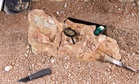 A Forgotten Dinosaur Has Just Reappeared From Fragments Of Bones On An Ancient Romanian Island