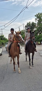 Panchkula police launches mounted patrols to control crime, save fuel, reach narrow lanes