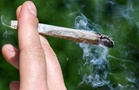 Top US court rules that marijuana users are allowed to own guns