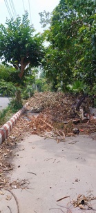 Garbage, encroachments galore in Ranjit Avenue amid ‘Mission Clean Punjab’ push