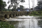Kapurthala pushes drain-cleaning drive ahead of monsoon
