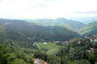 AI maps Rs 22,600-crore green gold in Himachal Pradesh forests