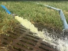 US National Park Service launches cleanup of Lincoln Memorial Reflecting Pool after algae outbreak