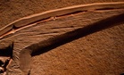 Scientists Discover A 113-million-year-old Pterosaur Wing Preserved In Extraordinary Detail
