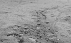 Moon Dust May Hold The First Evidence Of Alien Technology, Study Suggests