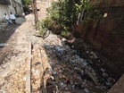 Monsoon approaching, drains remain clogged with garbage, filth in Ludhiana
