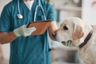 Government notifies expansion of Central Drugs Laboratory functions at CCS-NIAH for veterinary vaccine testing