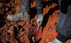 Hidden Under a Dry Australian Farm, Scientists Found Perfectly Preserved Fossils From 16 Million Years Ago