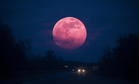 Don’t Miss June’s Strawberry Moon: Here’s When And Where To Look For The Year’s Final Micro Moon!