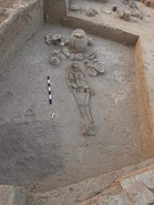 ASI unearths 8 Harappan-era skeletons, pottery offerings at Rakhigarhi