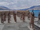 ITBP Himveers perform yoga at 14,000 feet near Pangong Tso on International Yoga Day