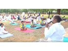 Tamil Nadu: Over 500 people perform yoga in Tiruchirappalli on 12th International Yoga Day