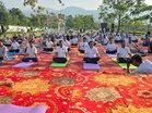 Over 1,000 people join mass session in Dehradun on 12th International Yoga Day
