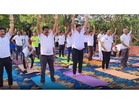 Tamil Nadu celebrates International Yoga Day with mass participation, Governor joins session at TNAU