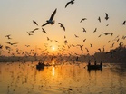 Sultanpur Park gets AI eyes: Smart cameras, drones to track bird migration for Haryana’s first digital census