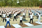 Collective sessions mark International Day of Yoga across Karnal, Kaithal districts in Haryana