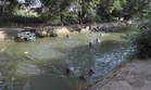 Groundwater extraction drops in Punjab as canal irrigation expands: Report