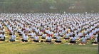 Tricity residents roll out mats on International Day of Yoga
