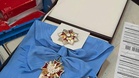 Zelensky returns Polish award as WWII row strains alliance