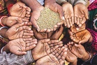 Sarbat Da Bhala Foundation distributes ration to 70 needy families in Phagwara