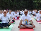 International Yoga Day 2026: Baku embraces “Yoga For Healthy Ageing”