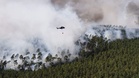 Forest fire risk set to rise in Germany, especially in south and east