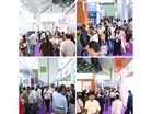 Bharat Buildcon 2026 Generates Rs. 400 Plus Crore Business, Emerges as India’s Largest Global Platform for Building Materials Industry