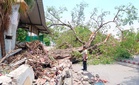 Hisar teen dies in Amritsar railway station accident after peepal tree collapse