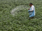 Fertiliser security challenge