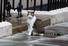 6 UK Prime Ministers later, ’Larry the cat’ is 10 Downing Street’s ultimate survivor