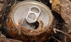 A Couple Walking Their Dog Stumbled Upon an Old Rusty Can, Inside Were $10 Million Worth of Gold Coins