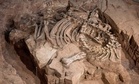 Scientists Finally Reveal What England’s First Complete Dinosaur Skeleton Really Looked Like