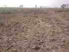 Congress seeks probe into land deal by MP CM Mohan Yadav kin