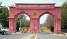 AI course begins at Punjab Agricultural University, Ludhiana