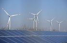 German renewable energy jobs hit record, but policy threat looms