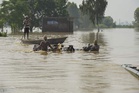 Punjab floods of 2025 featured as case study in new Class 9 NCERT social science textbook