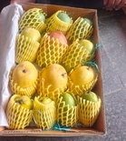 Mango diplomacy: BJP chief Nabin sends fruit hampers to diplomats from 82 countries