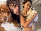 "You are forever loved...": Disha Patani mourns loss of beloved pets Bella, Jasmine; shares emotional tributes