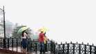 Rain to continue in Himachal till July 1; yellow alert issued for 5 districts