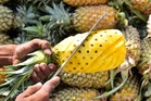 Tripura to host 3-day international ‘Queen Pineapple’ exhibition in Delhi from June 27