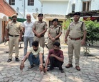 23 cattle rescued from overcrowded truck, 2 held