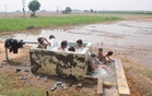 Monsoon keeps Chandigarh, Punjab, Haryana waiting as heat tightens grip again