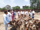 CM Flying Squad detects illegal felling of 86 trees at Haryana Roadways Workshop in Hisar