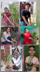 World Environment Day celebrated