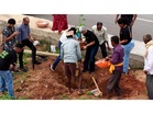 Bloom Avenue: A Year-Round Flower Corridor on Bengaluru’s Major Arterial Road in Kempegowda Layout