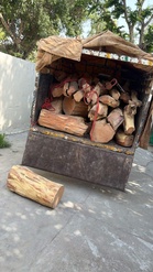 Himachal HC orders detailed probe into timber smuggling allegations