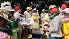 Rain, cloudy weather compound troubles for beekeepers in Punjab: Experts