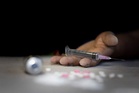 ‘Anti-Chitta’ campaign: Himachal Police destroy drugs worth Rs 2 crore