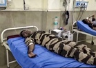 8 Central Industrial Security Force personnel injured as bus skids off road in J-K’s Reasi