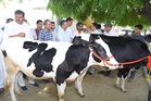 ICAR-NDRI’s AI-based breeding model achieves success
